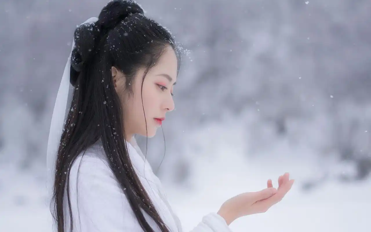 唯美古装美女雪中高清桌面壁纸