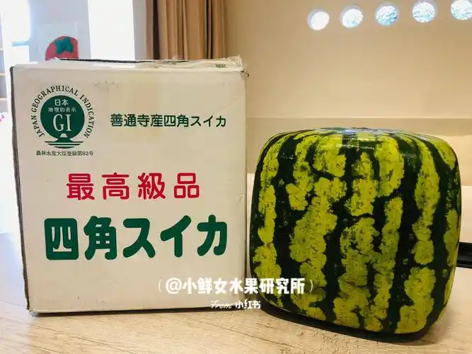 日本方形西瓜ja冈山香川最高级品