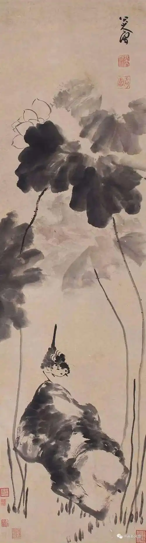 【音画时尚】赏一曲《曲苑风荷》,品一组水墨荷花