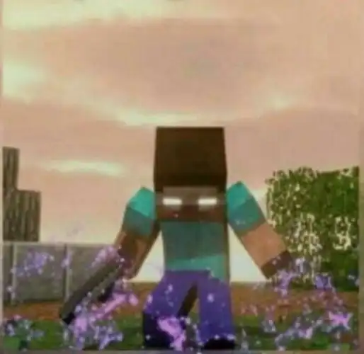 我的世界之吾王him