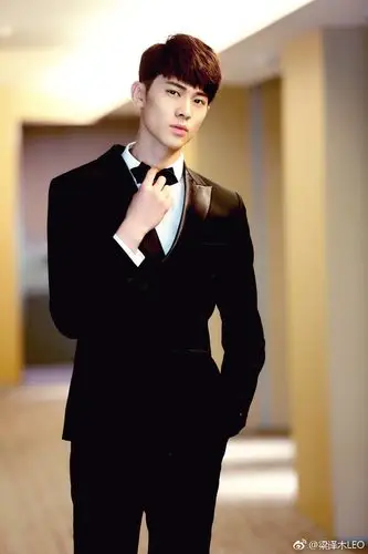 2017年1月,因参加张艺谋执导的冰上真人秀节目《跨界冰雪王》而受到