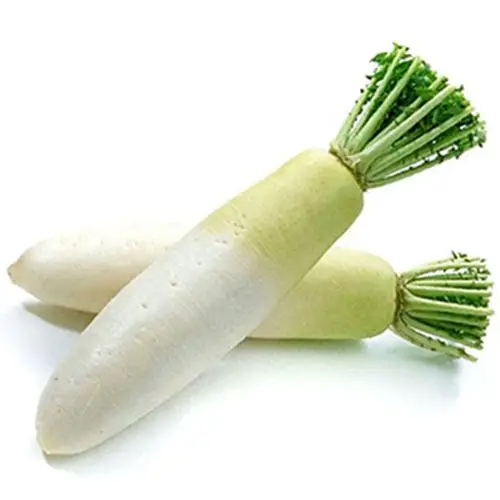 万禾农场有机白萝卜500g/袋