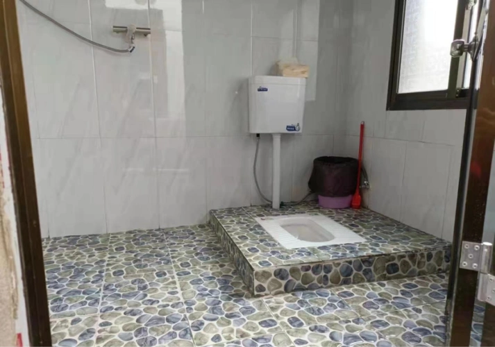 农村"五治" | 九庄镇:因户施"厕" 小厕所改出大民生