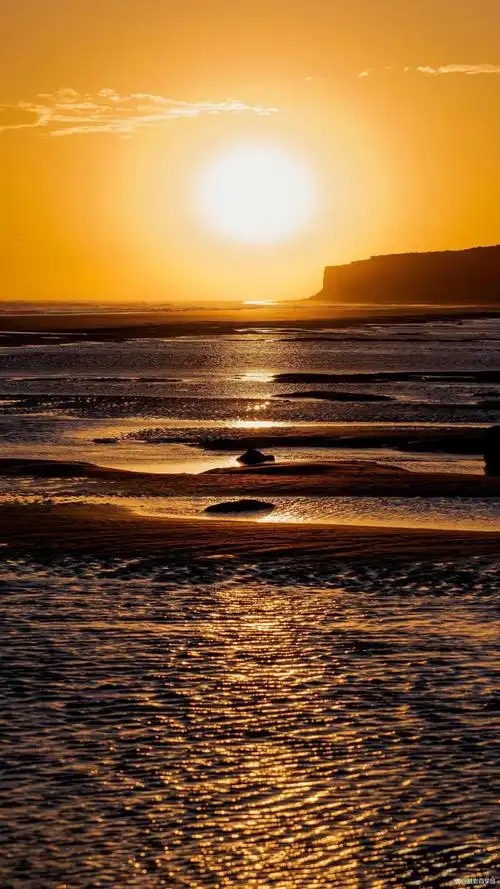如何拍摄树木,如何拍摄夕阳风景照片,如何让你的日常风景照片,更好看?