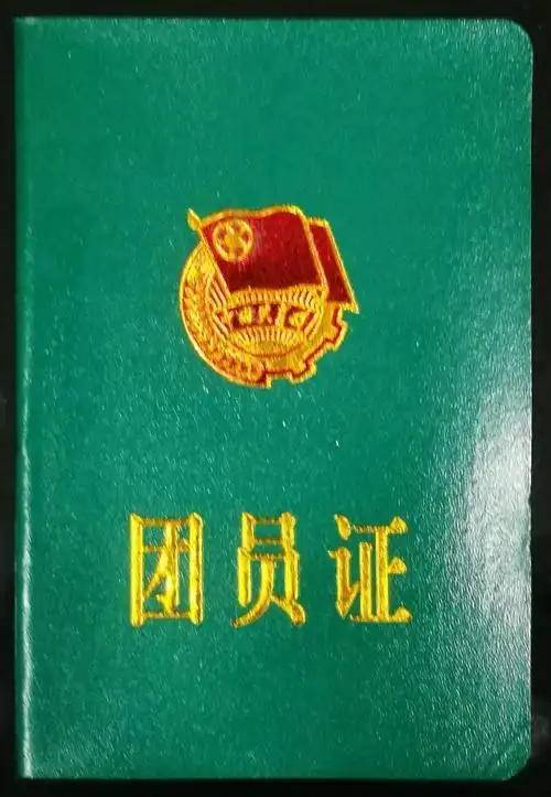 2020级新生团员团团手把手教你进行团组织关系转接