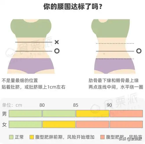 标准腰围对照表女生女生腰围标准尺码对照表