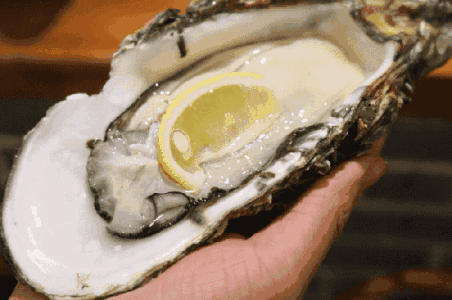 去丹麦吃生蚝对于吃货来说