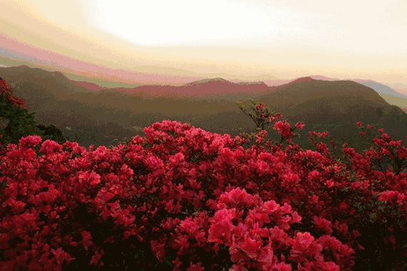 600_400gif 动态图 动图