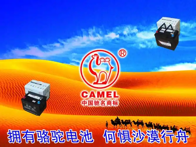 赛欧骆驼电瓶