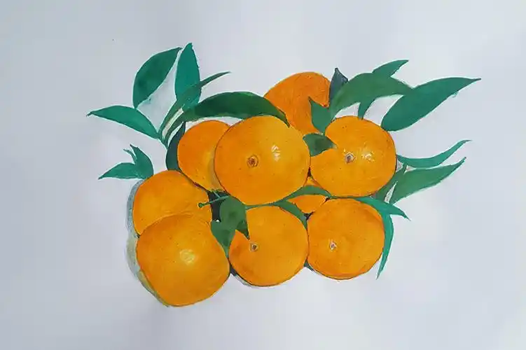 我的水彩画作品 一串橘子