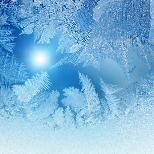 冬季冰花背景背景图片下载_800x800像素jpg格式_编号z26fg4r7v_图精灵