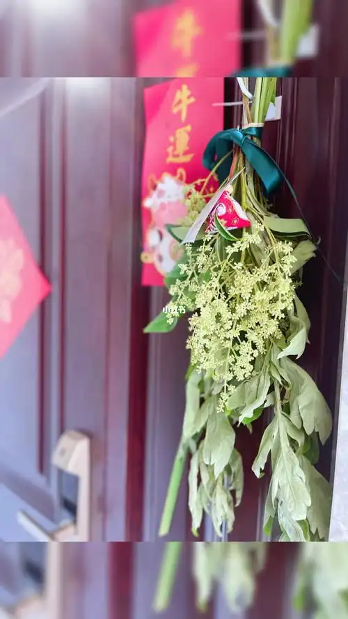端午的习俗挂艾草菖蒲今年安排上了端午安康67