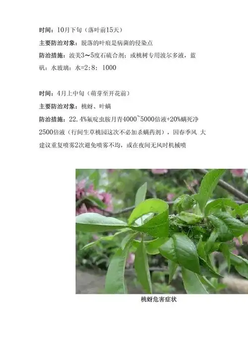 桃树病虫害防治全年用药推荐_第4页