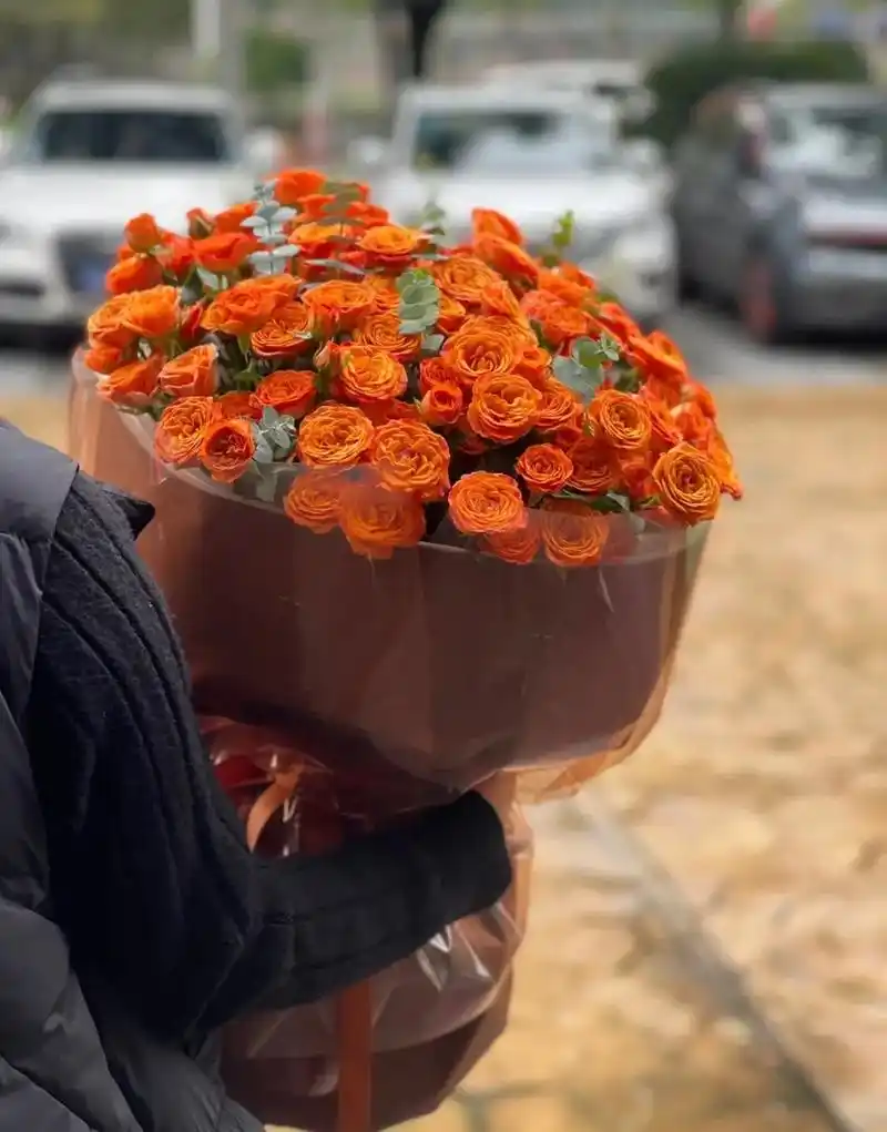 橙芭比多头玫瑰.