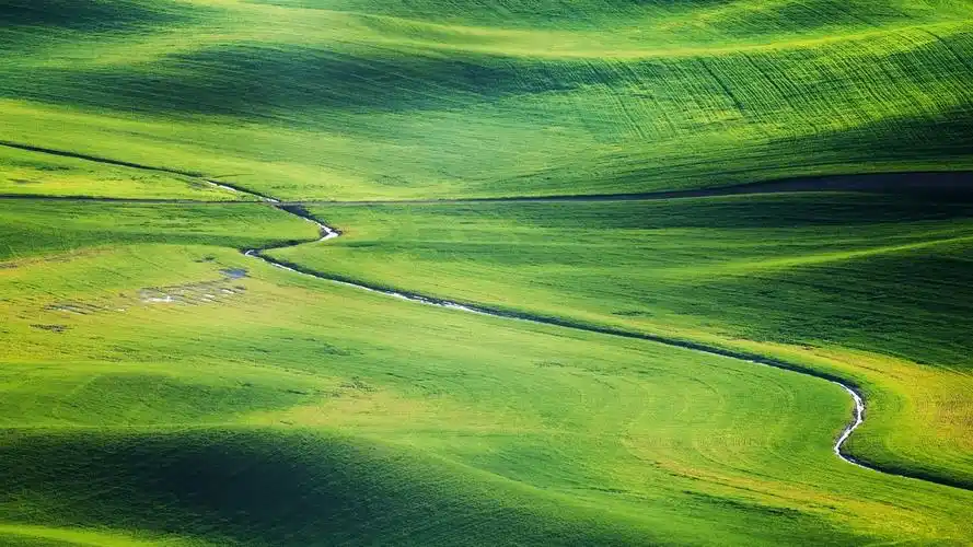 辽阔草原清新绿色护眼写真,高清图片,电脑桌面-壁纸族