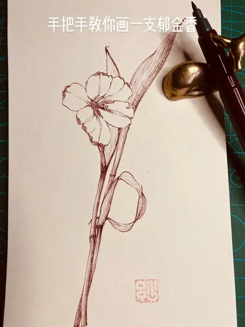 手把手教你画花卉速写 郁金香 #手绘 #每日一画 #一起学画 - 抖音