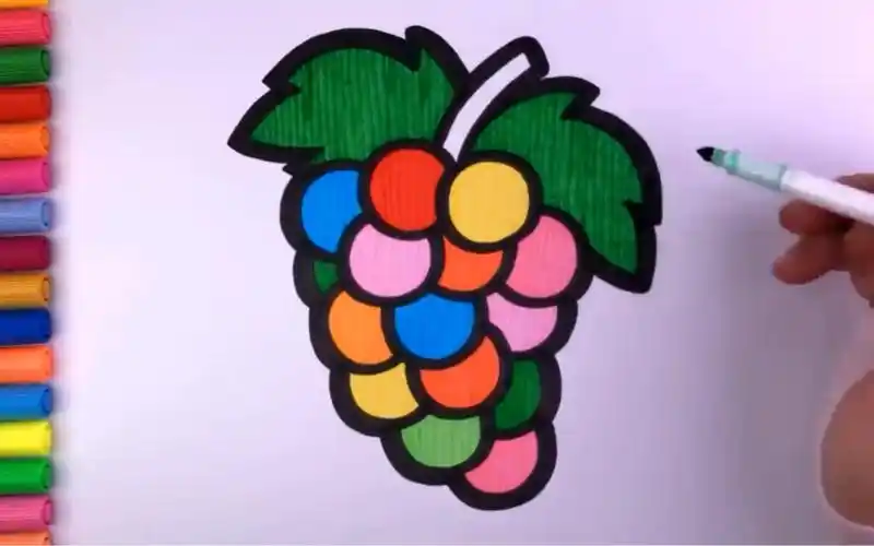 儿童简笔画教孩子画葡萄