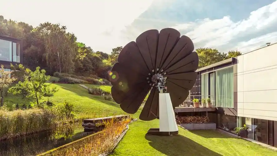 家里后院种朵"向日葵",就会有用不完的电,得省多少电费?