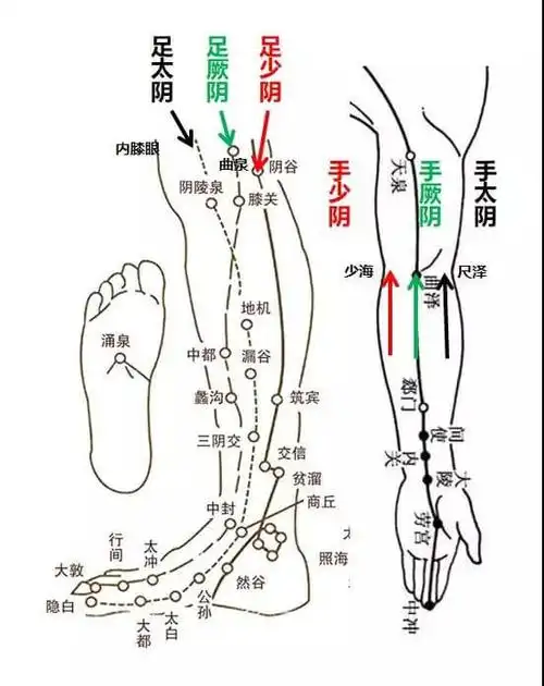 膝阳关手太阳 小海——足太阳 委中手阳明 曲池——足阳明 犊鼻手厥阴
