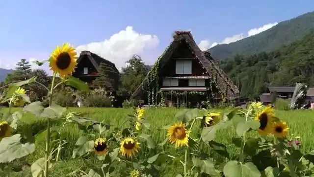 日本最美乡村大盘点——带你领略不一样的田园风光
