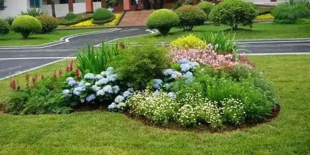 花园打造景观绿化庭院设计施工别墅院子造景