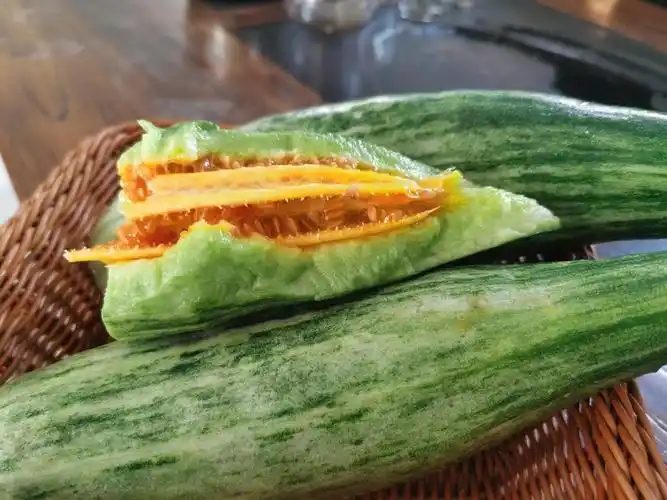 山东网红羊角蜜蜜瓜新鲜甜瓜头茬瓜 300 3斤【图片 价格 品牌 报价】