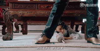 320_166gif 动态图 动图