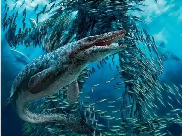 并且只要被它看到的其他海洋生物是一个也逃不掉的