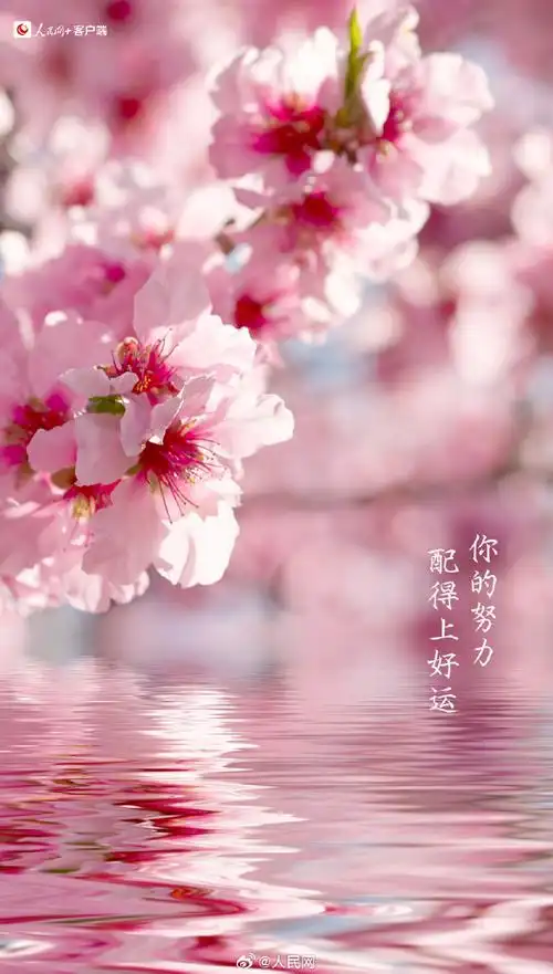 今天是四年一遇的日子##早春加油壁纸