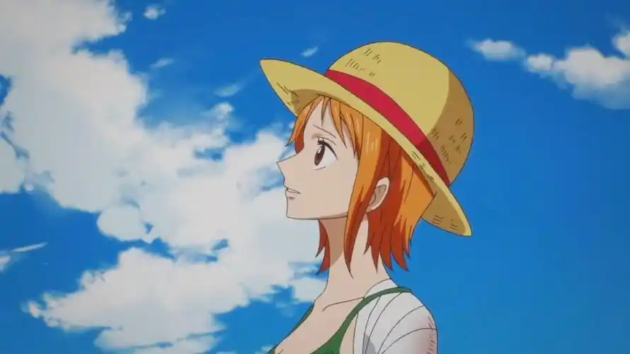 海贼王 娜美 - 堆糖,美图壁纸兴趣社区