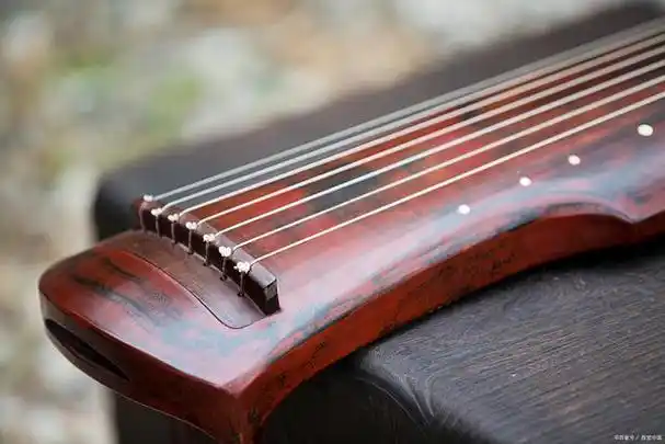 你都知道有哪些琴的种类吗?