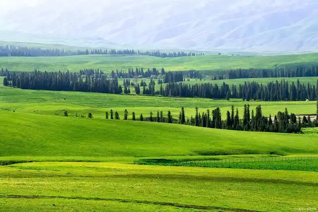 那拉提草原是否值得一游?那里的风景如何?