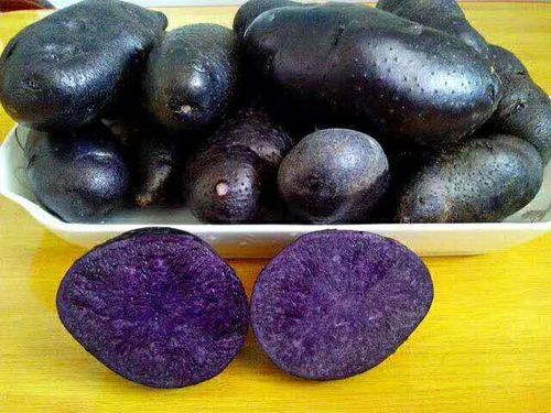 养乐派旗舰店联系方式-品牌旗舰店铺大全