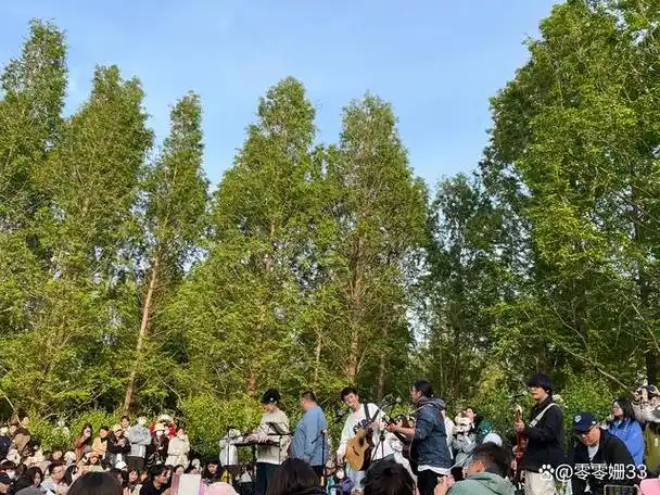 出片的巨型粉红旋转木马前拍到人生照片,可以在这里找回儿时的快乐