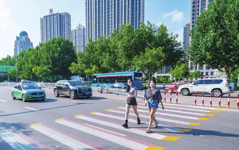 德州礼让斑马线文明在路上