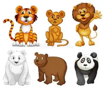 哺乳动物的四足动物图片