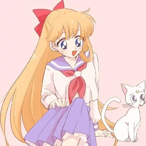 美少女战士##月野兔##爱野美奈子##动漫