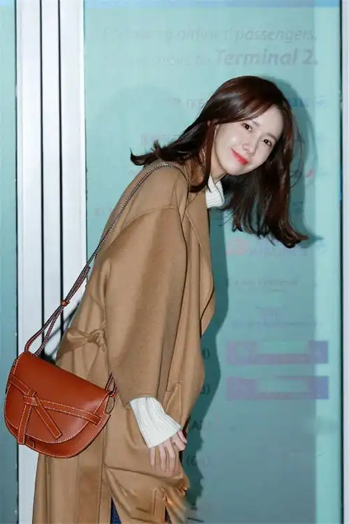 林允儿同款包包女斜挎包_林允儿明星同款包包棕色真皮斜挎包小挎包