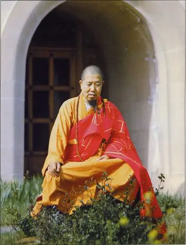 (转载)宣化上人风采图片集