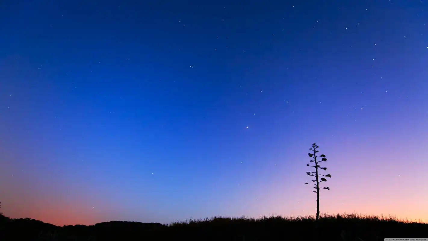 美丽的夜色壁纸! - 资源共享 - 一加手机社区官方论坛