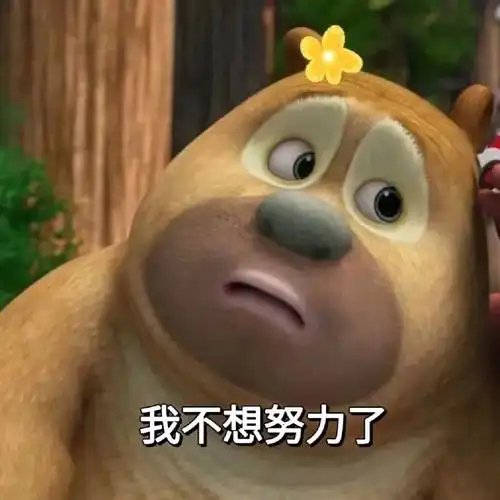 不想努力的熊二