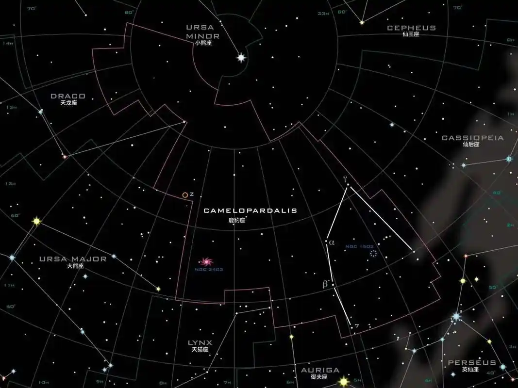 八十八星座之鹿豹座