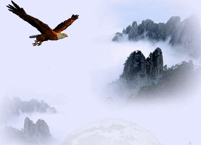 400_290gif 动态图 动图