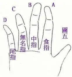 手指名称示意图