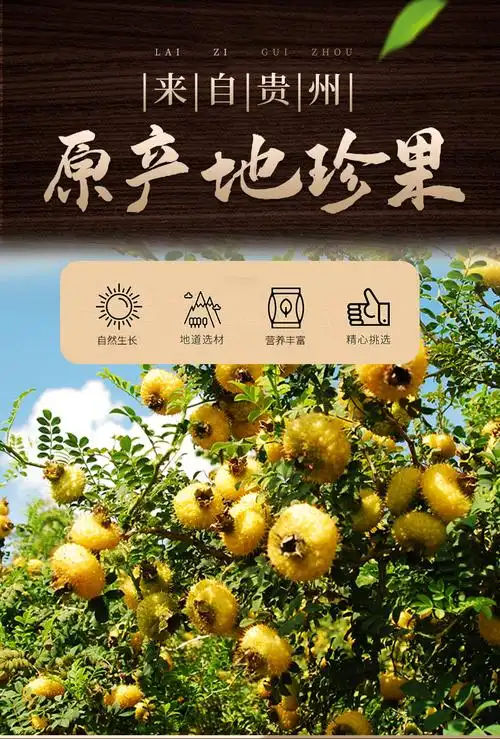 刺梨干果罐装泡水泡酒黔宝康刺梨果茶贵州鲜果刺梨原汁旗舰店精选野