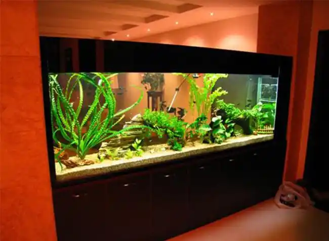 家居鱼缸摆放禁忌风水_装修风水_装修百科_尚品装修网