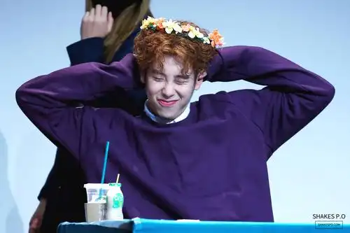 表志勋呀 - 堆糖,美图壁纸兴趣社区