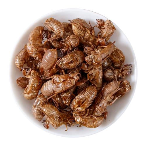 蝉蜕中药材100g知了壳干货金蝉衣蝉退壳爬了猴蝉衣中药饮片