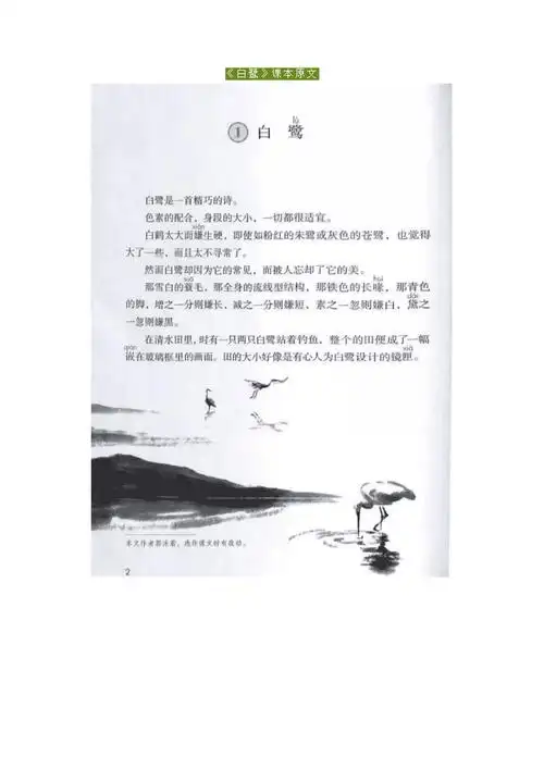 部编版五年级上册语文第一课白鹭课文朗读生字解析课后练习汇总