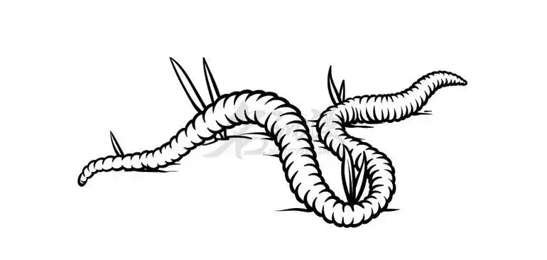 简单学画教你画一只小蚯蚓